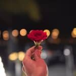 Bachelorette / https://www.pexels.com/photo/person-holding-red-rose-1324994/