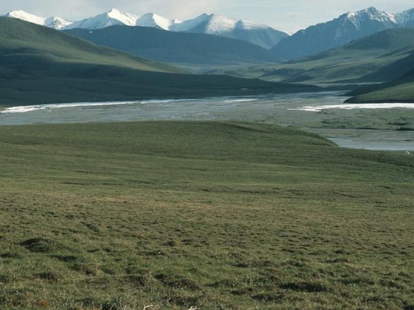 The Arctic National Wildlife Refuge, where The Last Alaskans cast lives — where are they now in 2026
