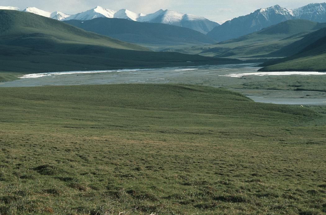 The Arctic National Wildlife Refuge, where The Last Alaskans cast lives — where are they now in 2026