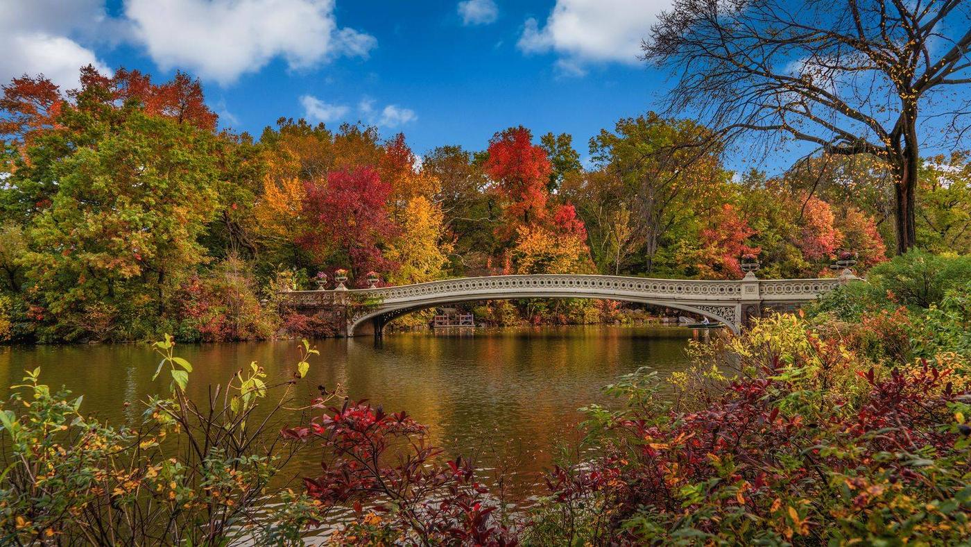 Bow Bridge in Central Park in autumn.