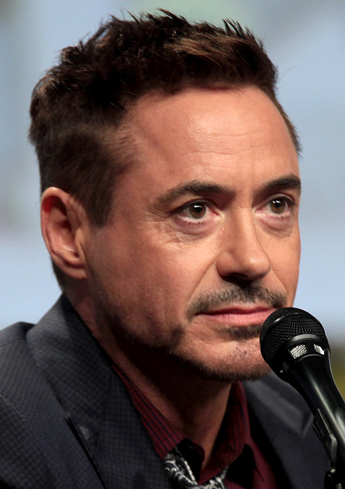 Robert Downey Jr. speaking at San Diego Comic-Con in 2014