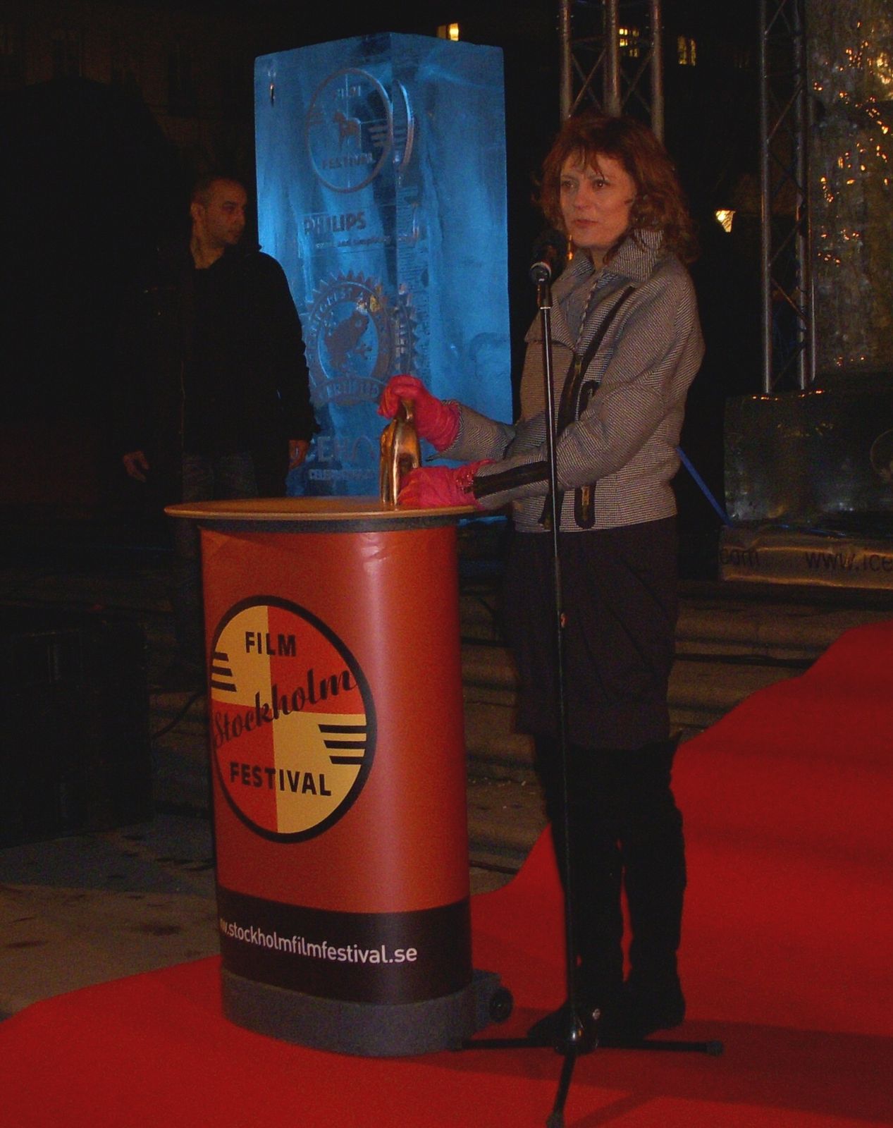 Susan Sarandon at the Stockholm Film Festival in 2009