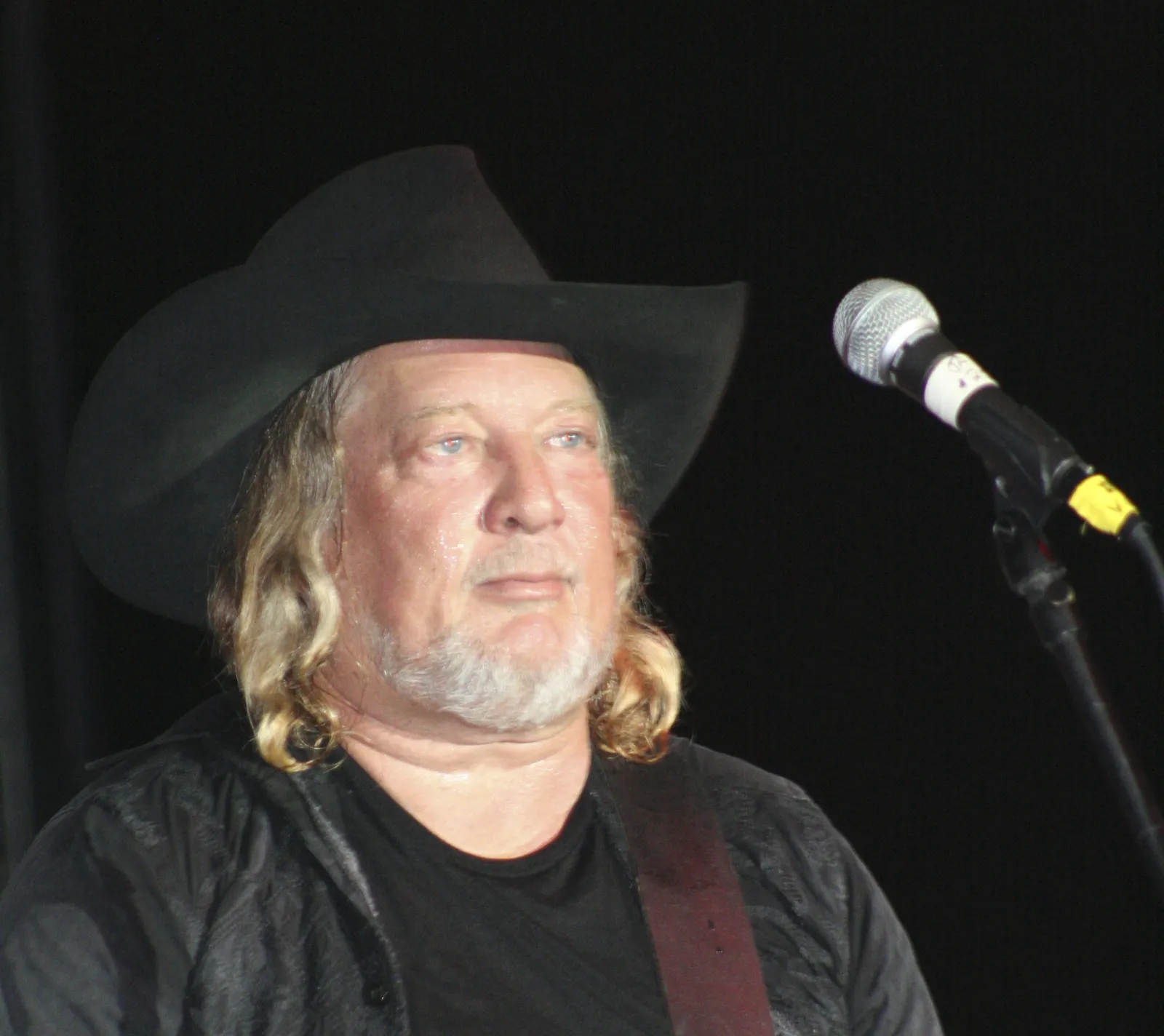 John Anderson performing on stage with a guitar at the Pike County Fair in 2008
