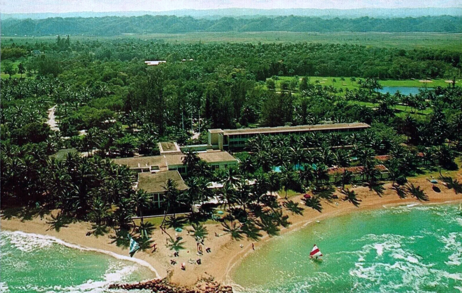 Dorado Beach in Puerto Rico, a coastal area with palm trees