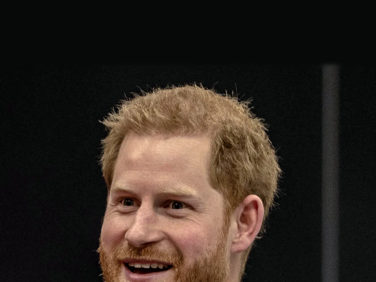 Portrait of Prince Harry