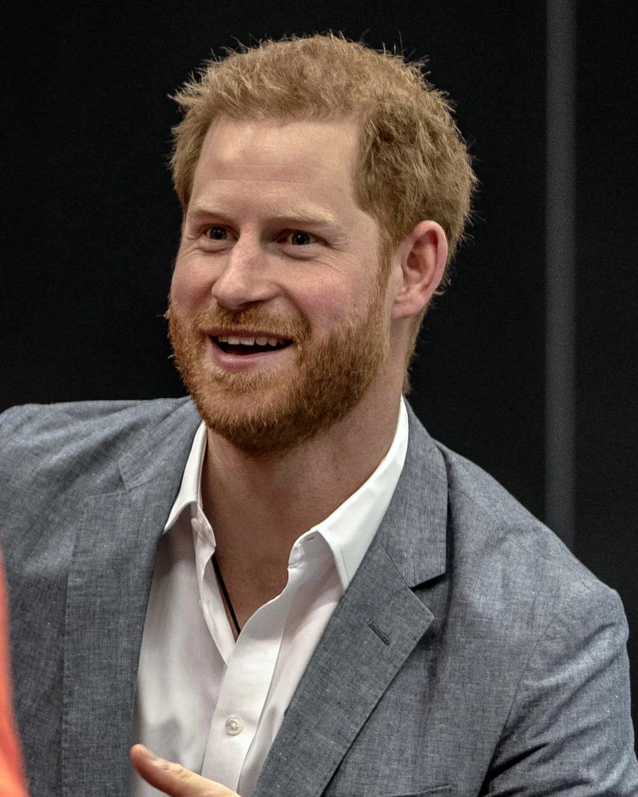 Prince Harry, Duke of Sussex, photographed in 2019