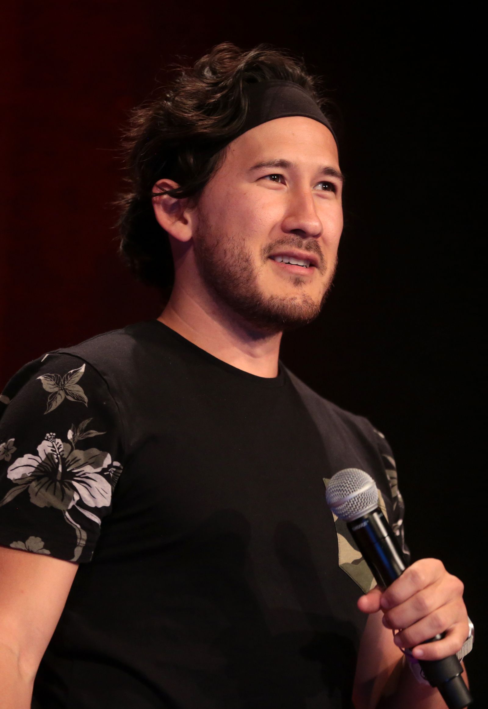 Markiplier, one of the richest streamers and YouTubers and director of Iron Lung